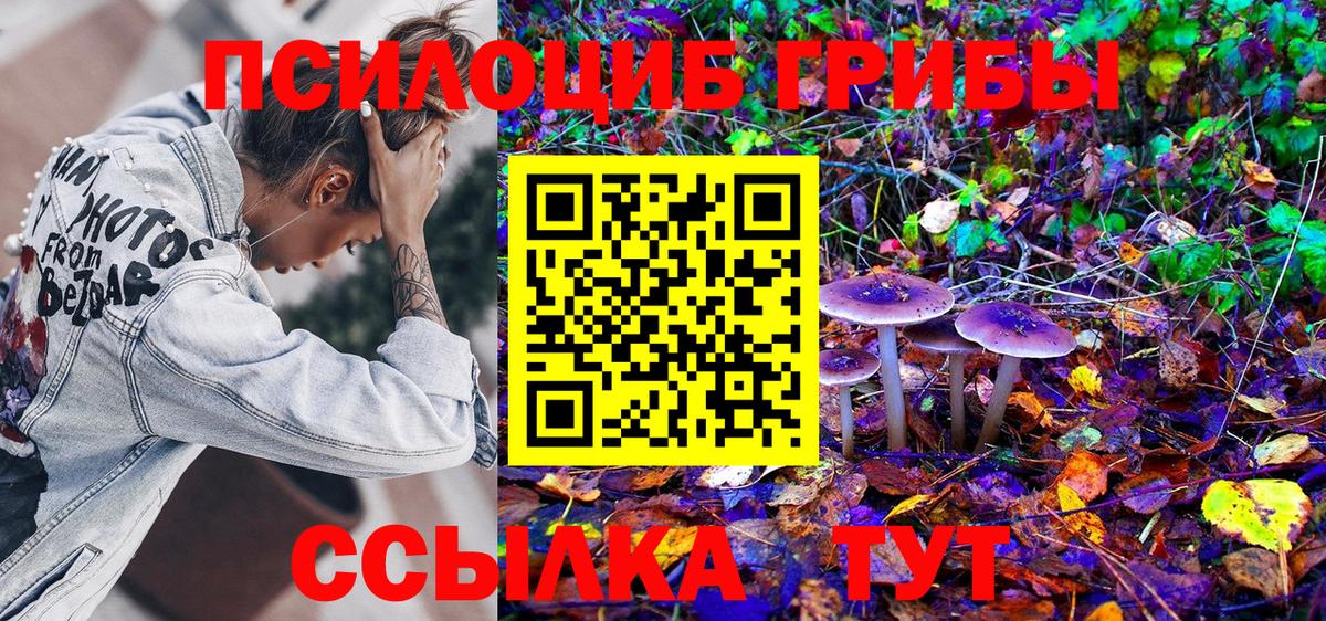 Псилоцибиновые грибы Psilocybine cubensis Красногорск